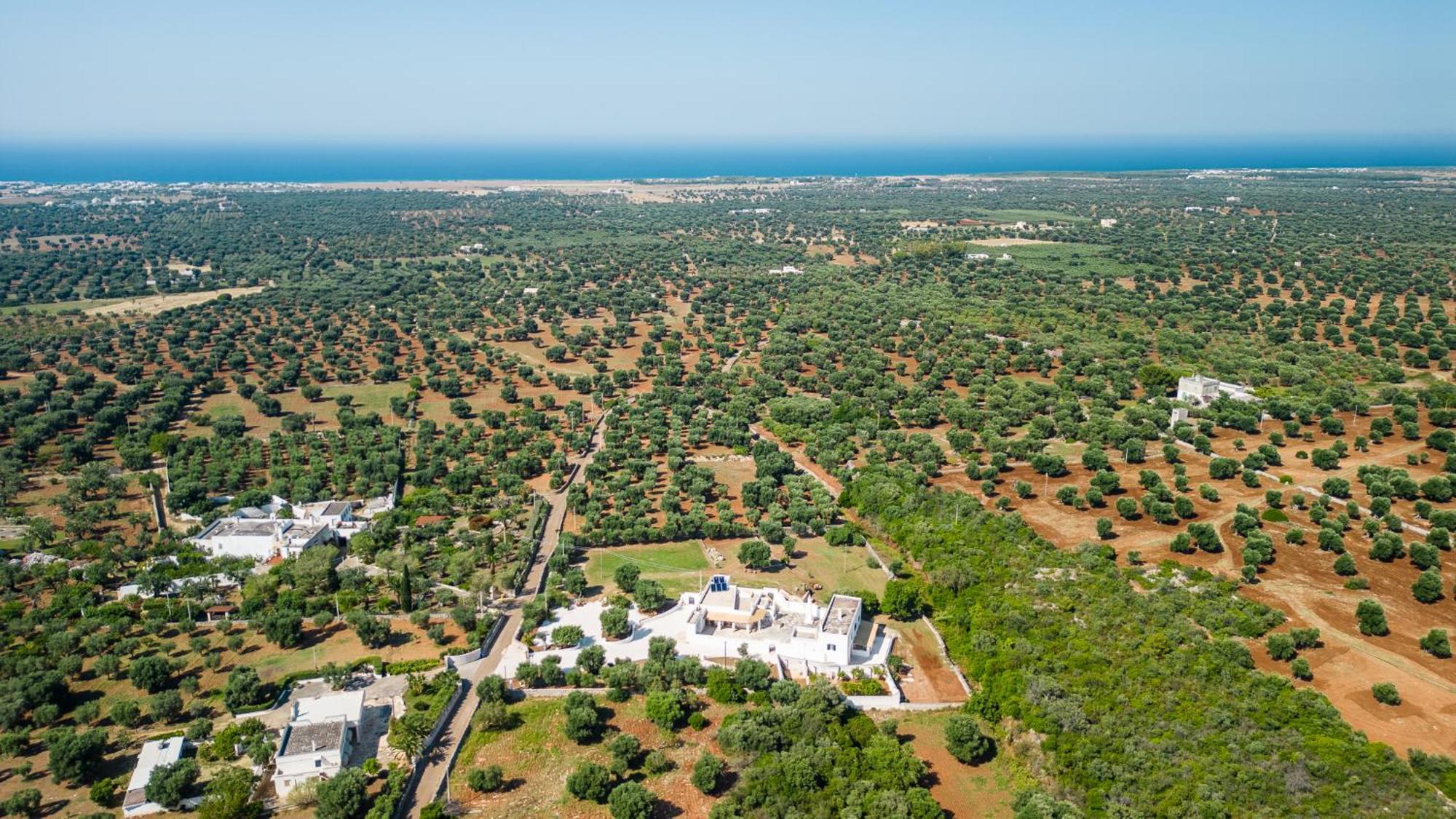 Masseria Abadia Uno Ostuni Kültér fotó